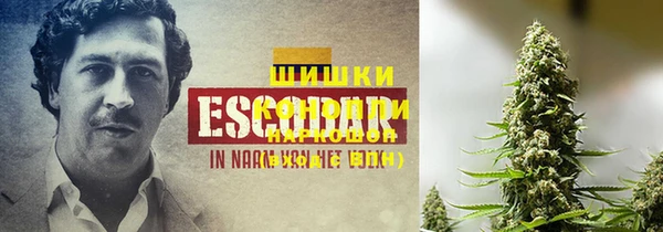PSILOCYBIN Красноперекопск