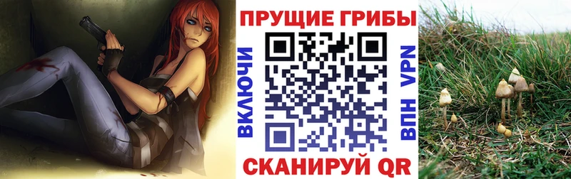 где можно купить наркотик  Удачный  Псилоцибиновые грибы MAGIC MUSHROOMS 